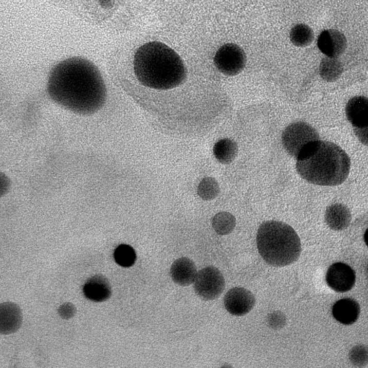 Nanoparticle Segmentation